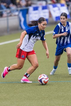 Bild 362 - wBJ Hamburger SV - FC Suederelbe : Ergebnis: 9:0